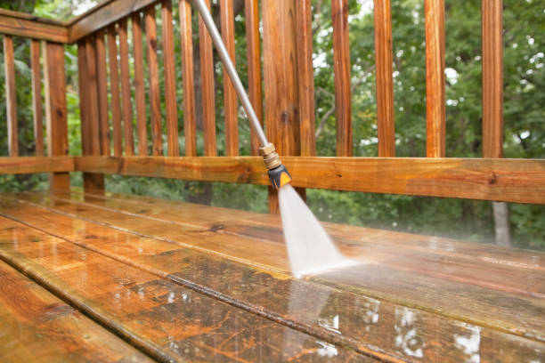 Best Gutter Cleaning  in Belvidere, NJ